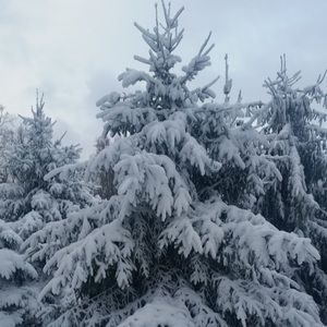 Meet your Posher, Mary ann